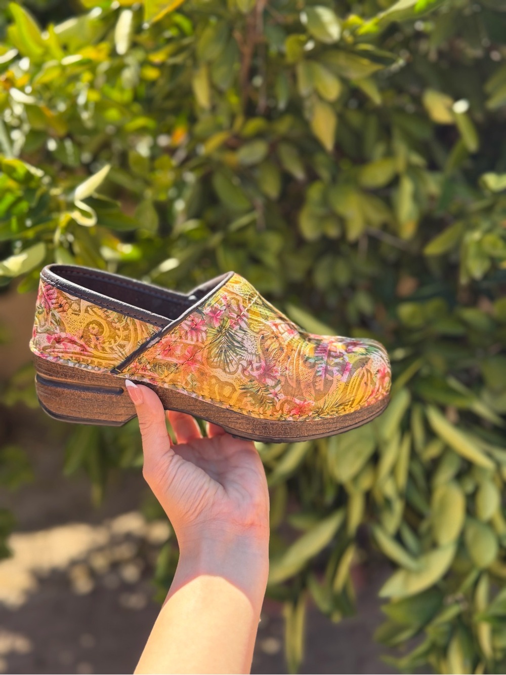 Dansko Clogs